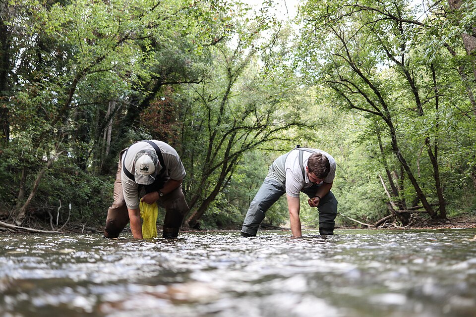 Golden Gaming - Henderson